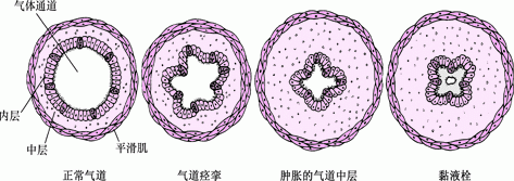 1692858971689592.png 640 (1).png